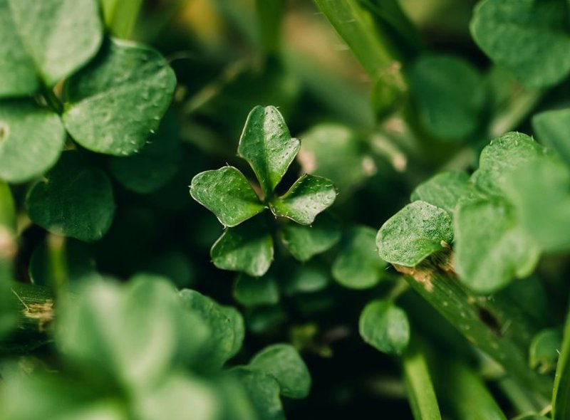 đánh giá 2025 Jun88